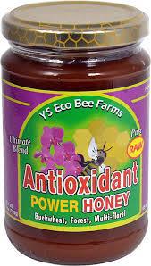 Y.S ANTIOXIDANT HONEY 13.5OZ