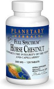 PLANETARY HERBALS HORSE CHESNUT 120 TB
