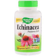 NWAY ECHINACEA HERB 180CP