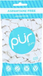 PUR GUM PEPPERMINT 55PC